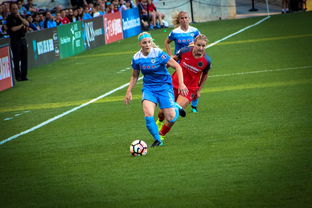 开云网页版中国官网-中国篮球职业联赛俱乐部财务风险管理，篮球俱乐部财务制度